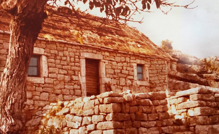 Стара кућа у Трепчима